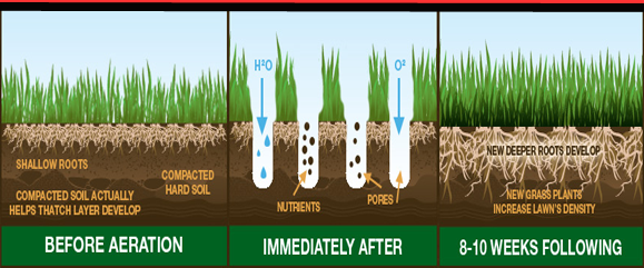 core-aeration-and-overseeding